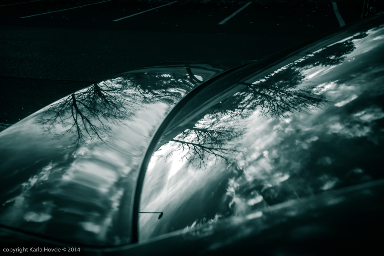 Infrared Reflections © Karla Hovde 2014